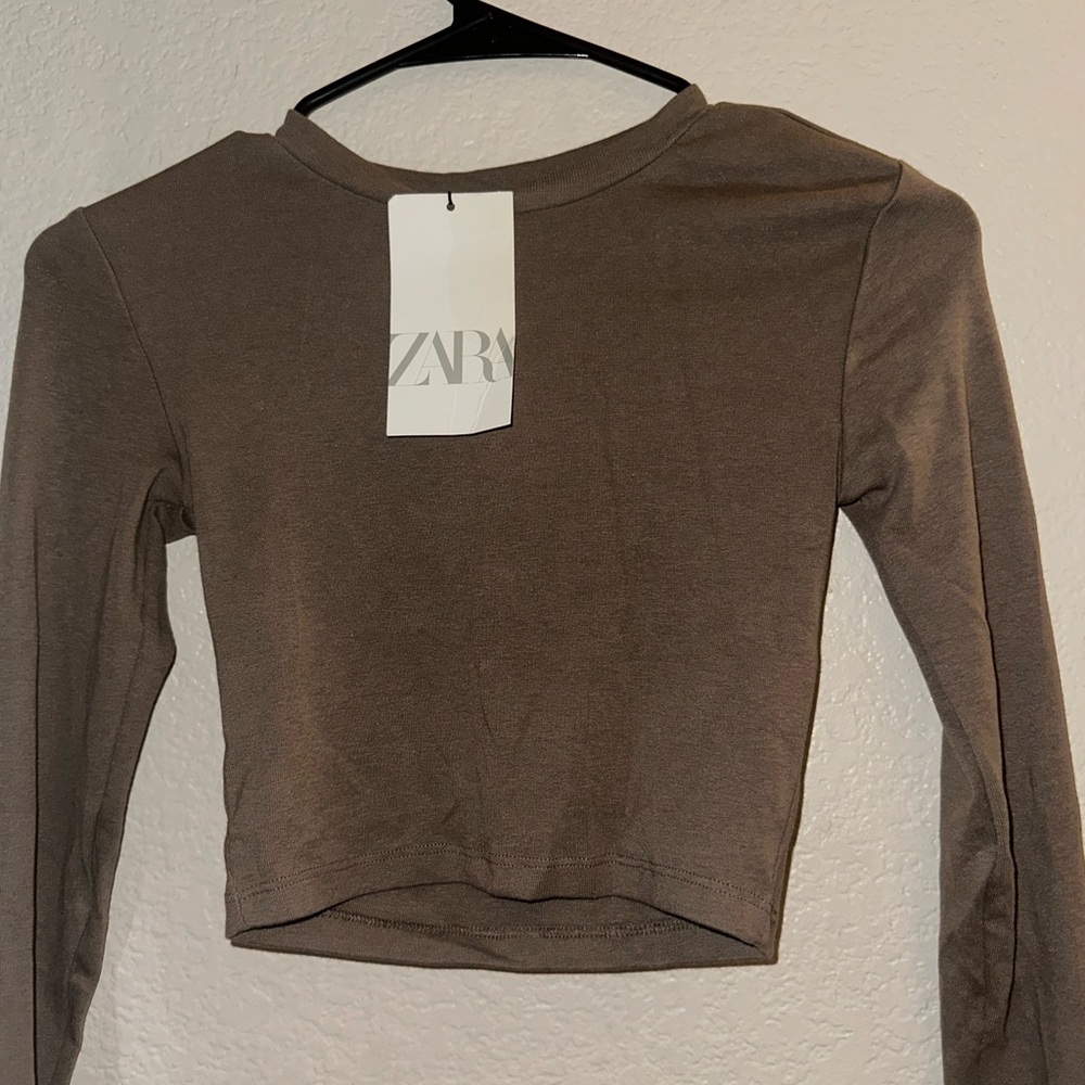 Zara Brown Fitted Crop Long Sleeve Tee